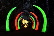 Land Of Lights (1)