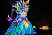 Land Of Lights (9)