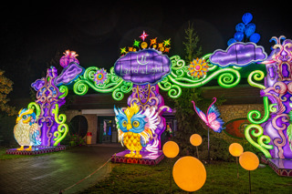 Land Of Lights MK (82)